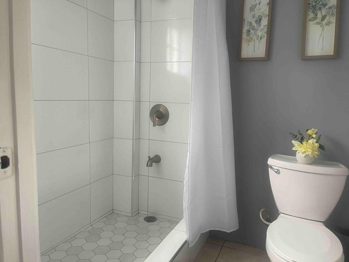 One Bedroom City Apartment Fully Ac With 24Hrs Security Kingston Exterior foto