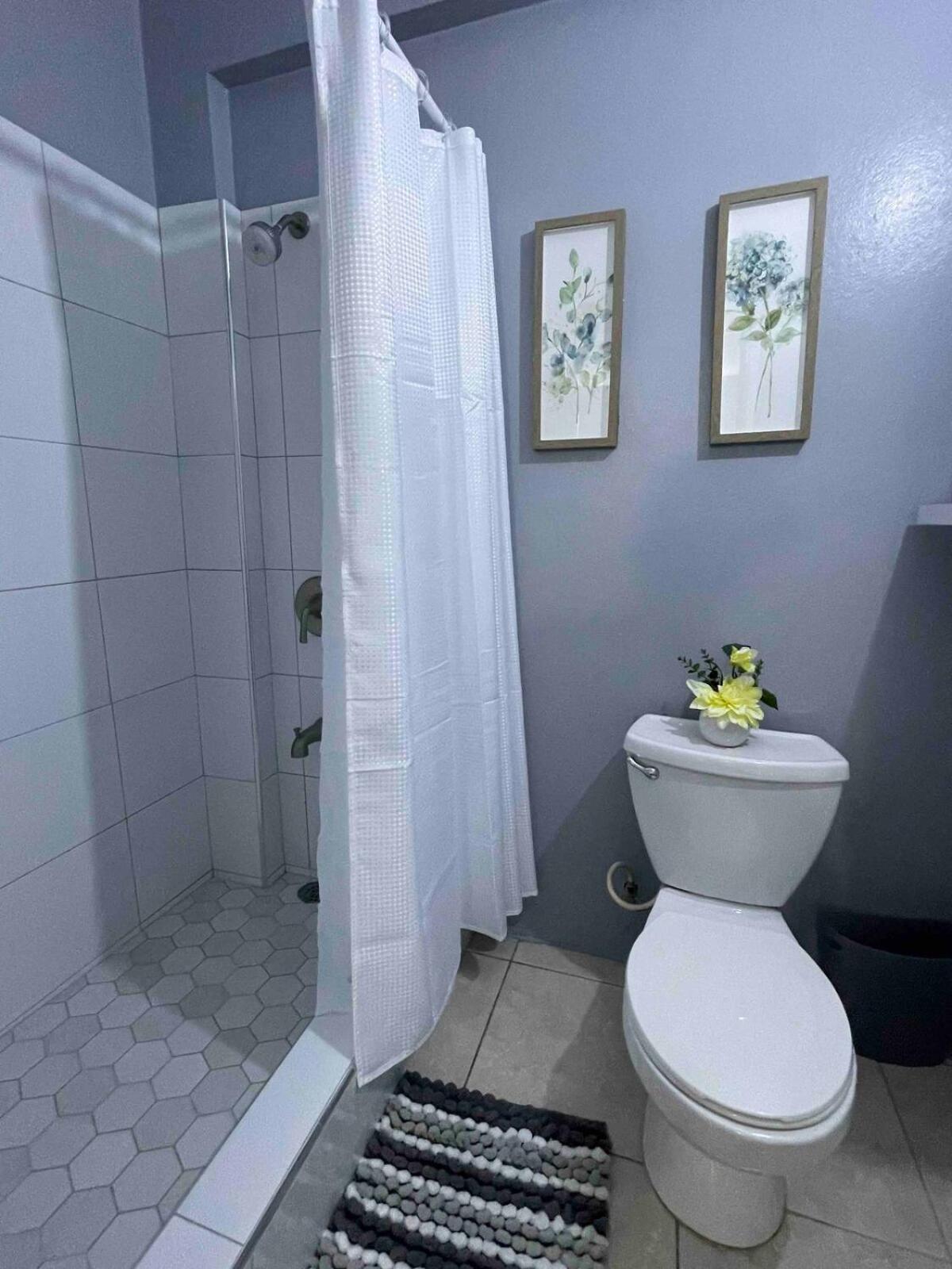 One Bedroom City Apartment Fully Ac With 24Hrs Security Kingston Exterior foto